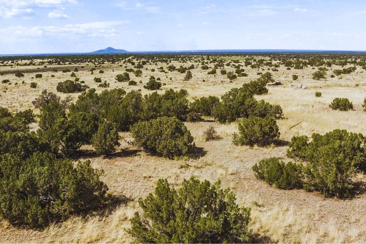 w/Trees - S Wedgewood Dr, Williams, AZ 86046, USA