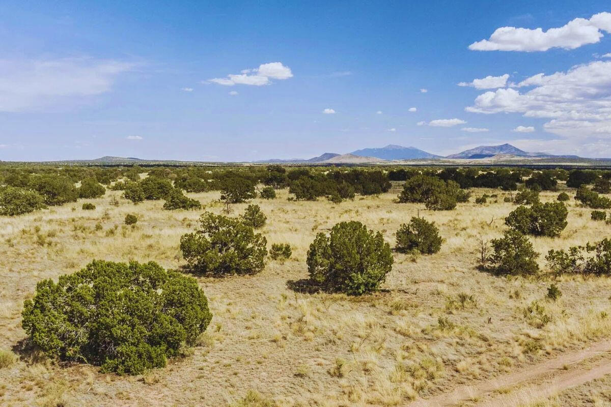 w/Trees - S Wedgewood Dr, Williams, AZ 86046, USA