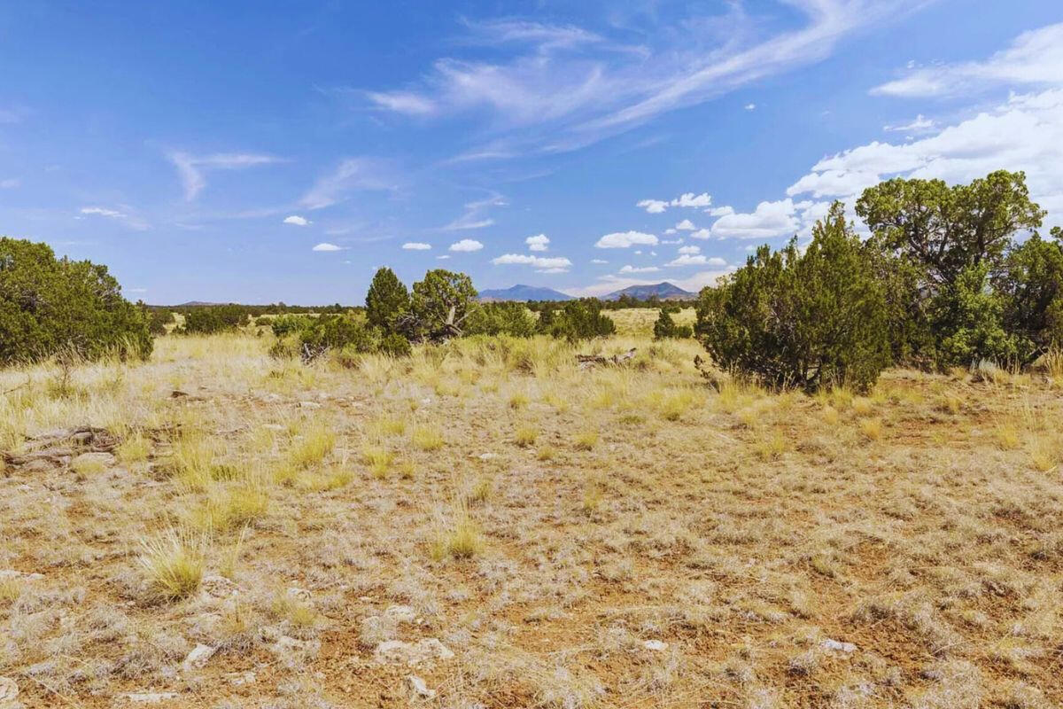 w/Trees - S Wedgewood Dr, Williams, AZ 86046, USA