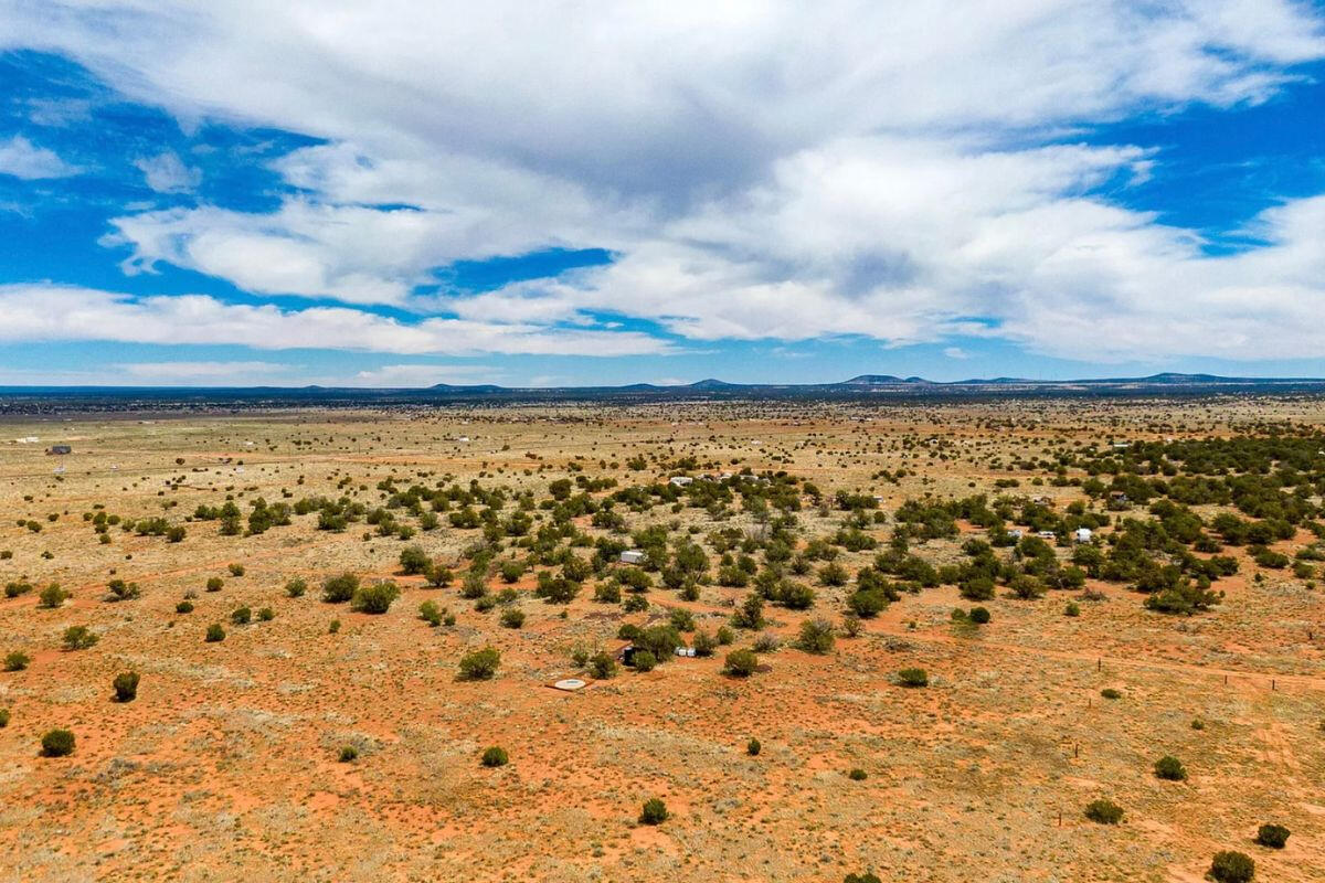 w/Trees - S Wedgewood Dr, Williams, AZ 86046, USA