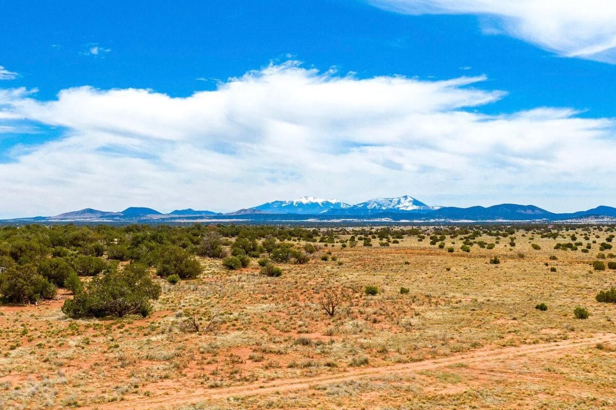 w/Trees - S Wedgewood Dr, Williams, AZ 86046, USA